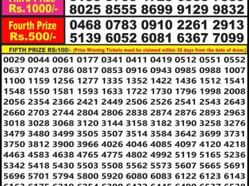 Lottery Result Today July 13, 2023