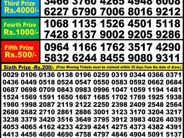 Lottery Result Today July 29, 2023