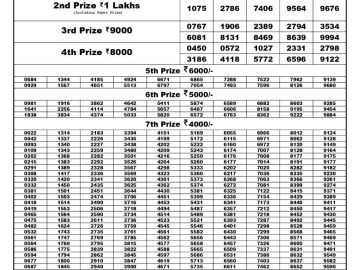 Lottery Result Today July 25, 2023