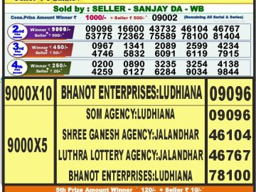 Lottery Result Today August 20, 2023