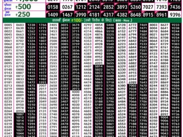 Lottery Result Today January 11, 2024