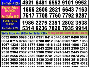 Lottery Result Today January 23, 2024