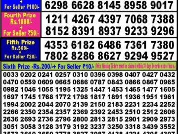 Lottery Result Today January 20, 2024