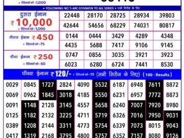 Lottery Result Today January 20, 2024