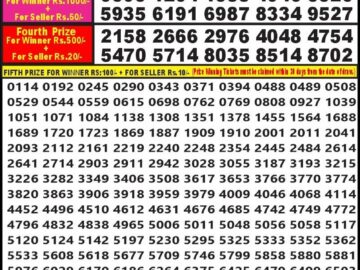 Lottery Result Today January 22, 2024