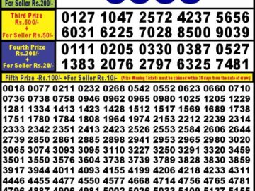 Lottery Result Today January 22, 2024