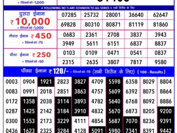 Lottery Result Today January 17, 2024