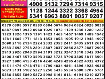 Lottery Result Today January 17, 2024