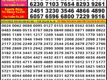 Lottery Result Today January 20, 2024