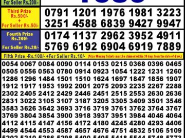 Lottery Result Today January 24, 2024