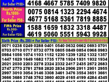 Lottery Result Today January 25, 2024