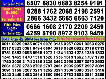 Lottery Result Today January 30, 2024