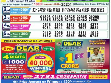 Lottery Result Today January 25, 2024