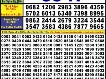 Lottery Result Today January 20, 2024