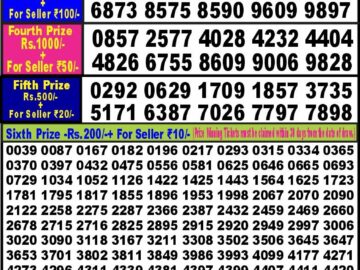 Lottery Result Today January 11, 2024