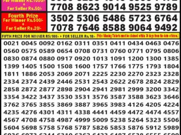 Lottery Result Today January 11, 2024