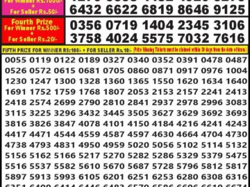 Lottery Result Today January 14, 2024