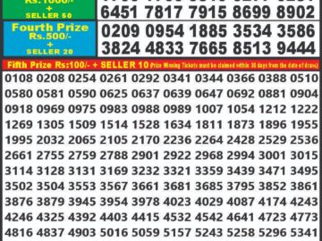 Lottery Result Today January 29, 2024