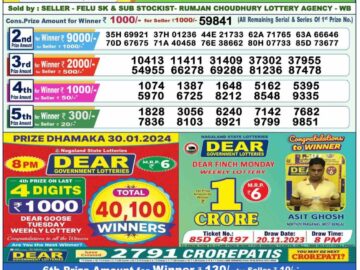 Lottery Result Today January 31, 2024