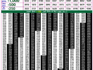 Lottery Result Today January 24, 2024