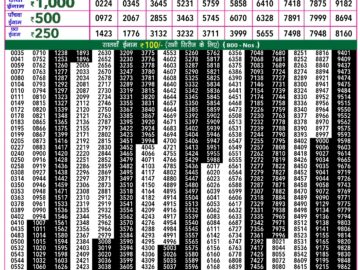 Lottery Result Today January 31, 2024