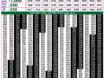 Lottery Result Today January 25, 2024