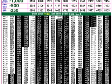 Lottery Result Today January 30, 2024