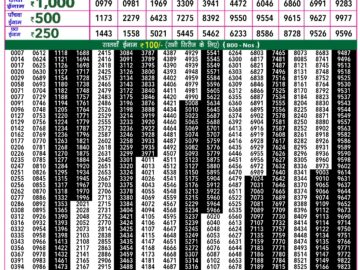 Lottery Result Today January 21, 2024