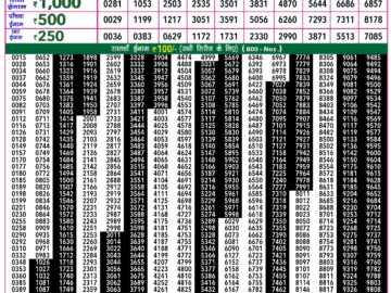 Lottery Result Today January 28, 2024