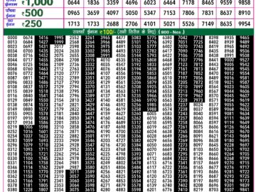 Lottery Result Today January 27, 2024