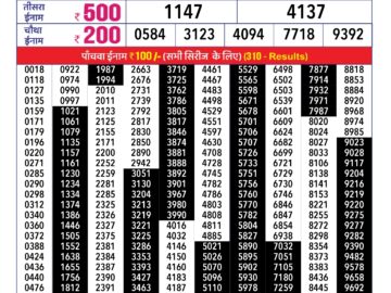 Lottery Result Today January 25, 2024