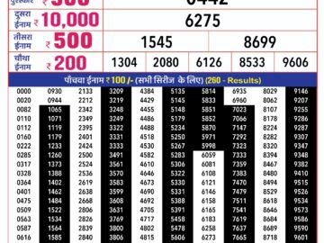 Lottery Result Today January 30, 2024