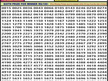 Lottery Result Today January 28, 2024