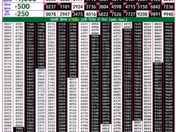 Lottery Result Today January 9, 2024