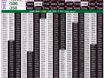 Lottery Result Today January 20, 2024