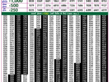 Lottery Result Today January 17, 2024