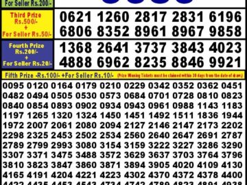 Lottery Result Today January 17, 2024