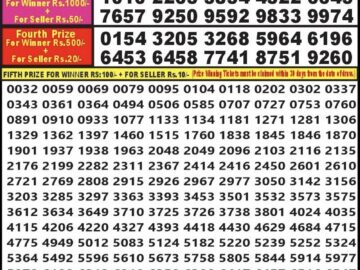 Lottery Result Today February 27, 2024