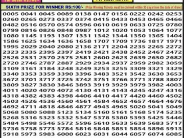 Lottery Result Today February 27, 2024