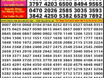 Lottery Result Today February 3, 2024