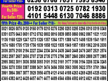 Lottery Result Today February 10, 2024