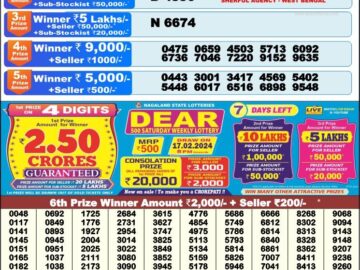 Lottery Result Today February 10, 2024