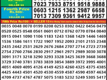 Lottery Result Today February 11, 2024