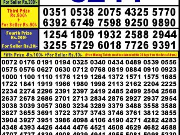 Lottery Result Today February 11, 2024