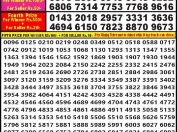 Lottery Result Today February 11, 2024