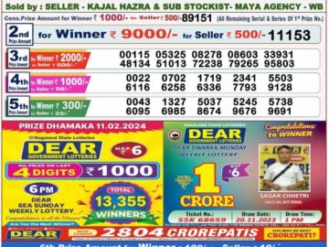 Lottery Result Today February 11, 2024