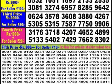 Lottery Result Today February 12, 2024