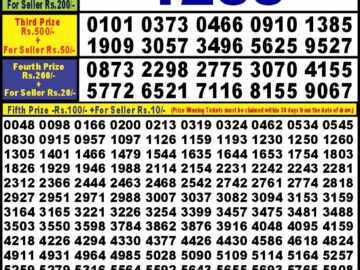 Lottery Result Today February 12, 2024