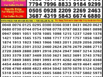 Lottery Result Today February 12, 2024