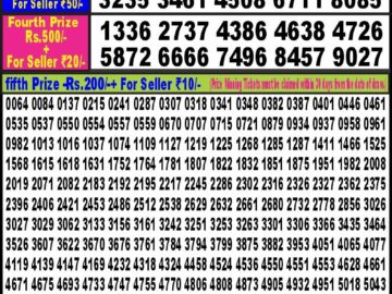 Lottery Result Today February 13, 2024